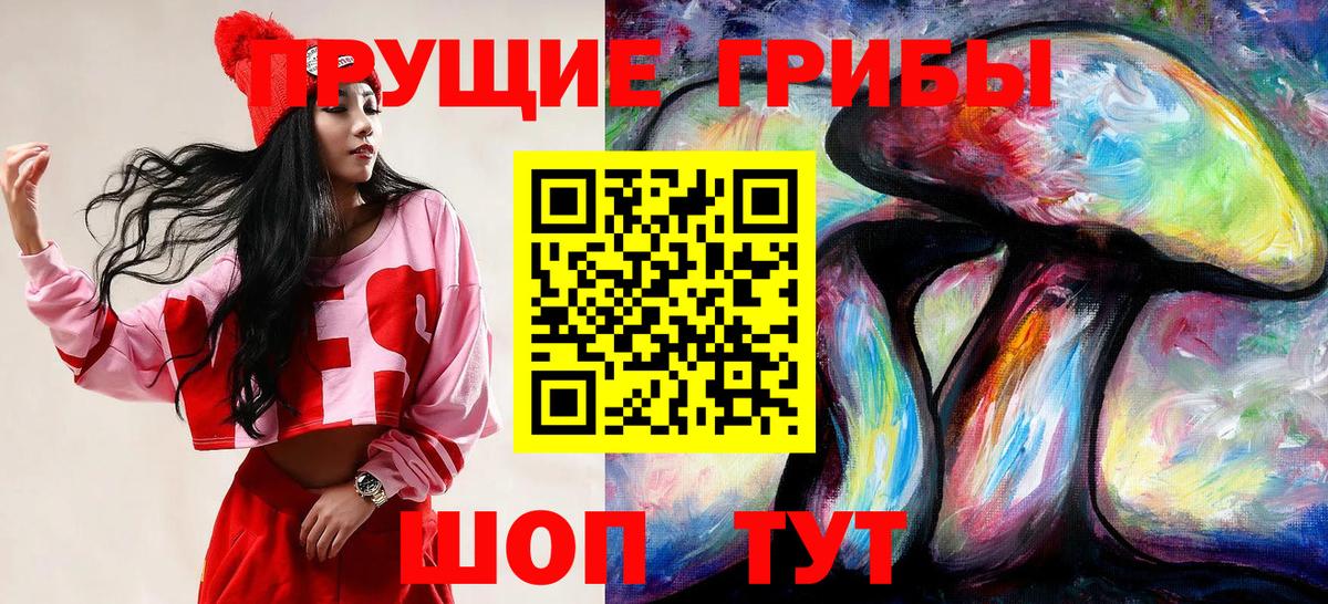 Псилоцибиновые грибы Cubensis Гатчина
