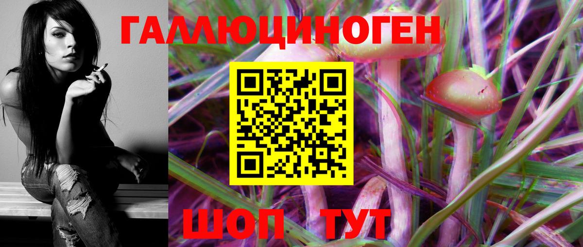 Галлюциногенные грибы Magic Shrooms Гатчина
