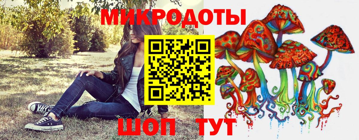 Псилоцибиновые грибы мухоморы  Гатчина  Псилоцибиновые грибы GOLDEN TEACHER 